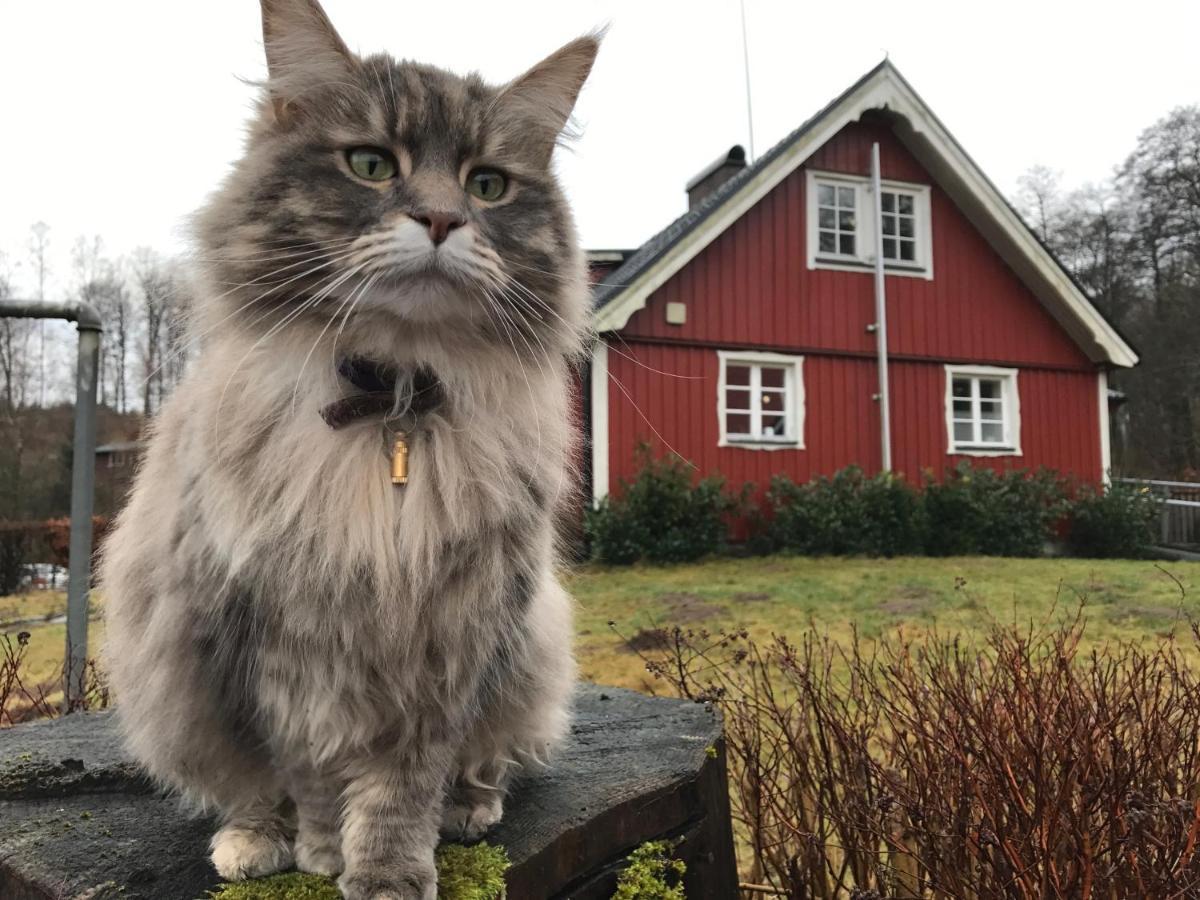 Ullstorps Stugor Höör Buitenkant foto