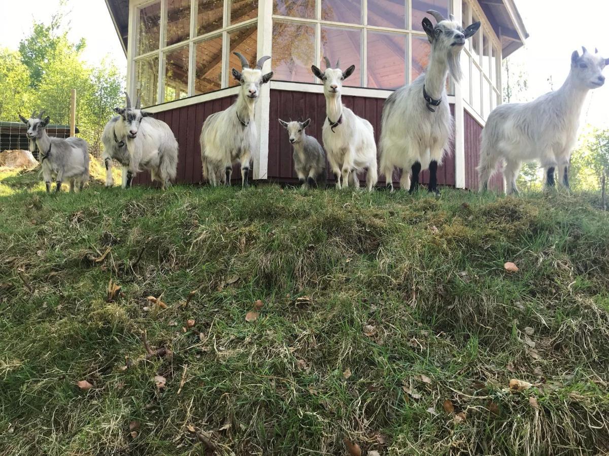 Ullstorps Stugor Höör Buitenkant foto