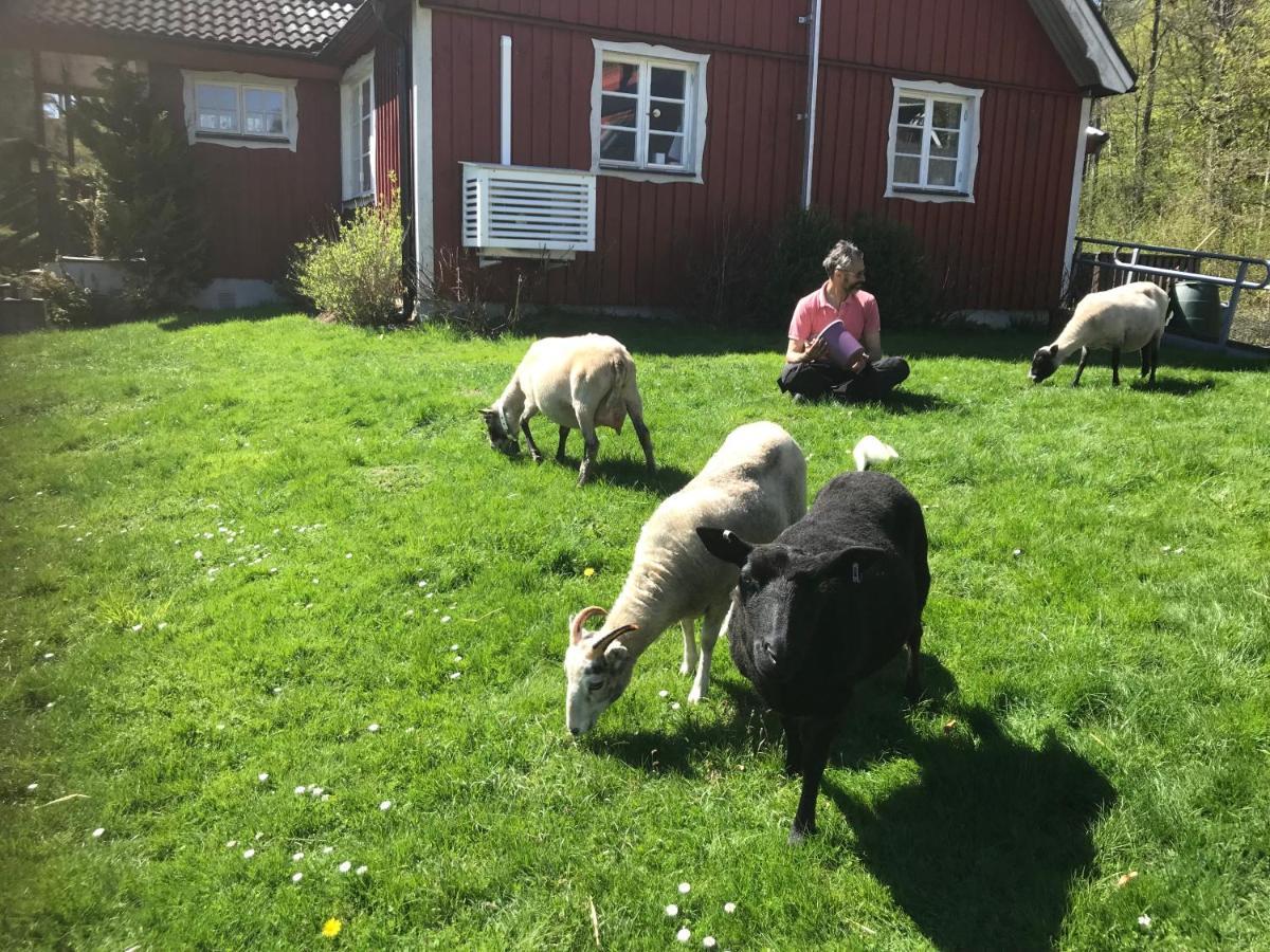 Ullstorps Stugor Höör Buitenkant foto